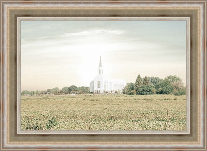 Burley Idaho Immaculate Embrace Pastel