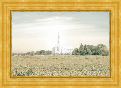 Burley Idaho Immaculate Embrace Pastel