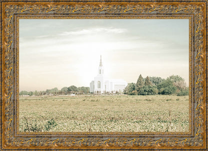 Burley Idaho Immaculate Embrace Pastel