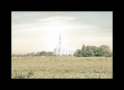 Burley Idaho Immaculate Embrace Pastel