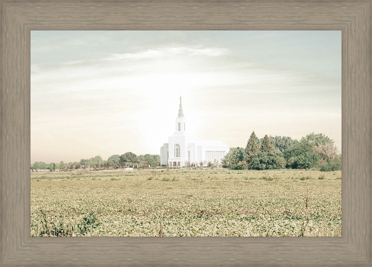 Burley Idaho Immaculate Embrace Pastel