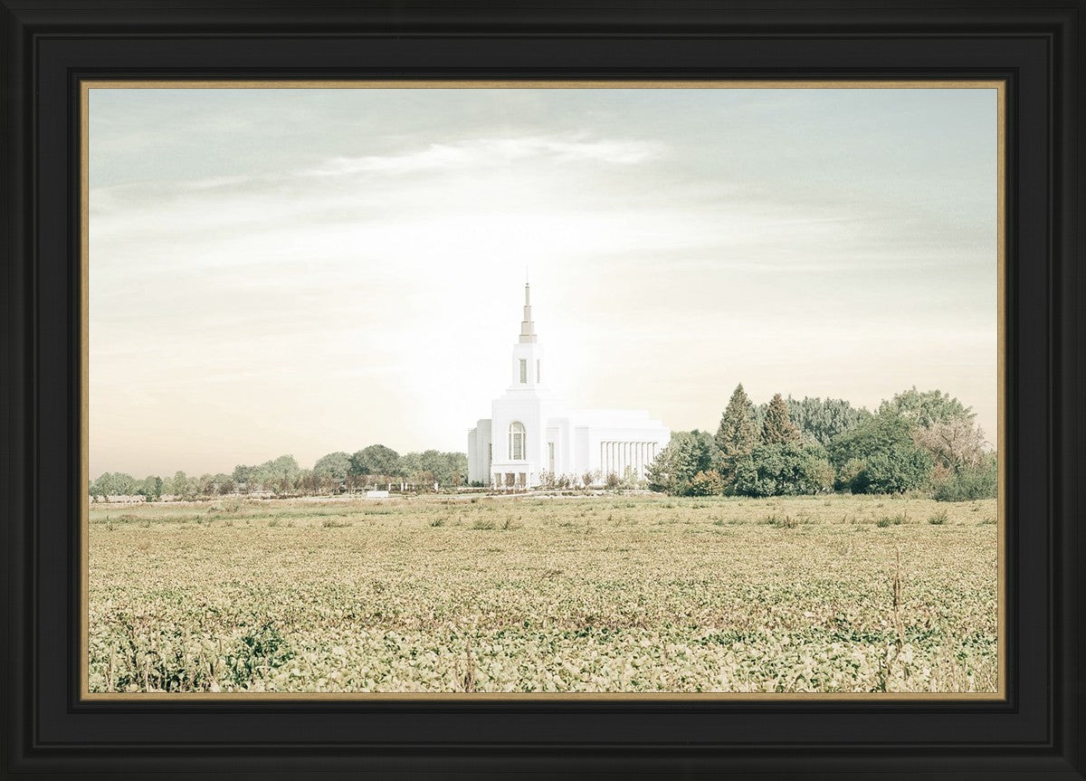 Burley Idaho Immaculate Embrace Pastel