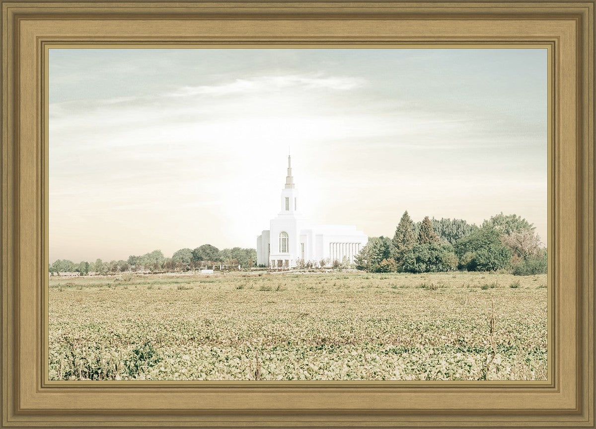 Burley Idaho Immaculate Embrace Pastel