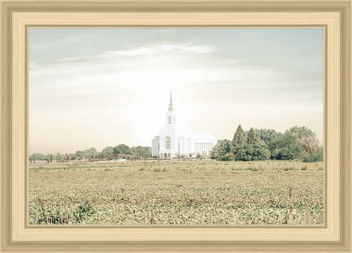 Burley Idaho Immaculate Embrace Pastel