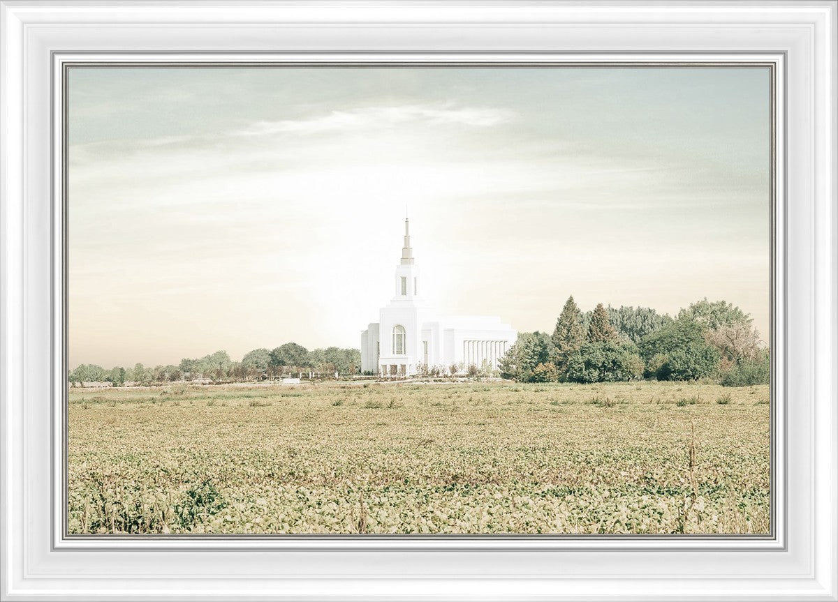 Burley Idaho Immaculate Embrace Pastel