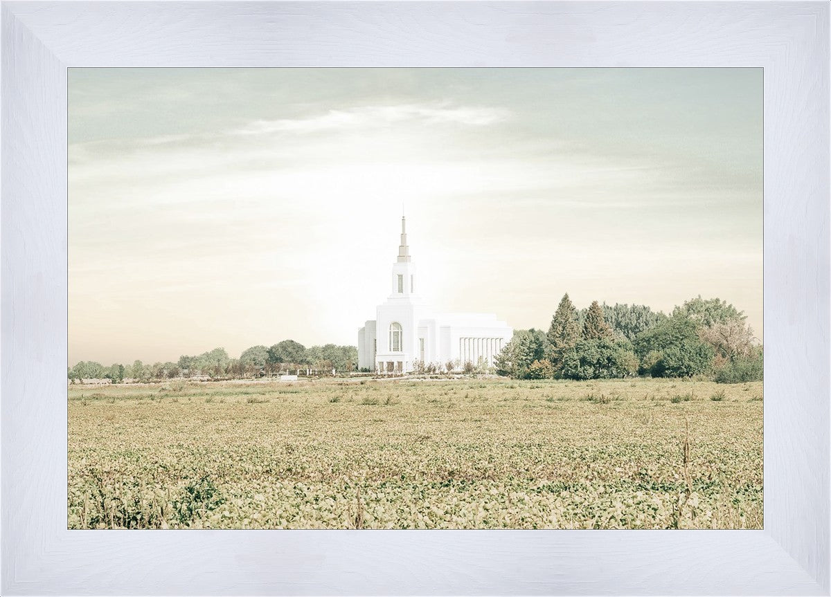 Burley Idaho Immaculate Embrace Pastel