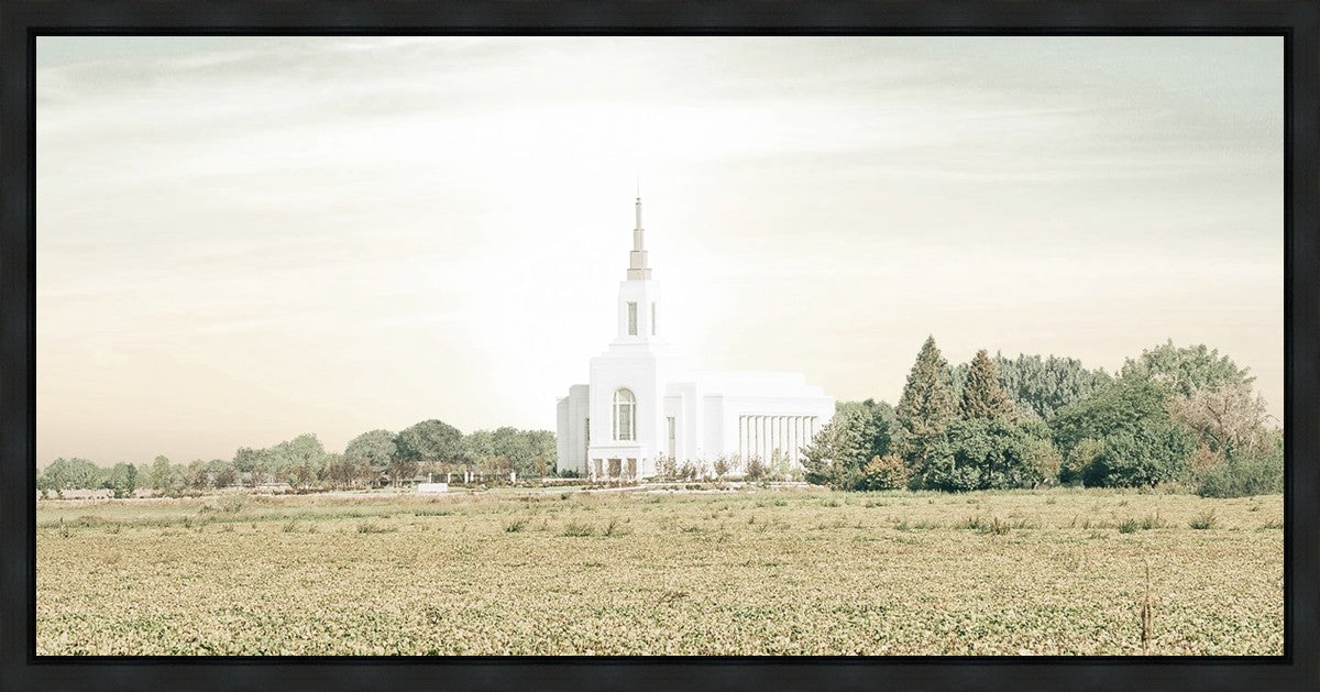 Burley Idaho Immaculate Embrace Pastel