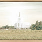 Burley Idaho Immaculate Embrace Pastel