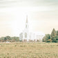 Burley Idaho Immaculate Embrace Pastel