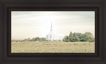 Burley Idaho Immaculate Embrace Pastel