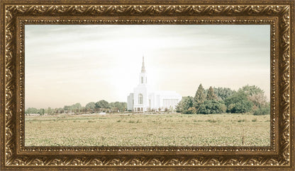 Burley Idaho Immaculate Embrace Pastel