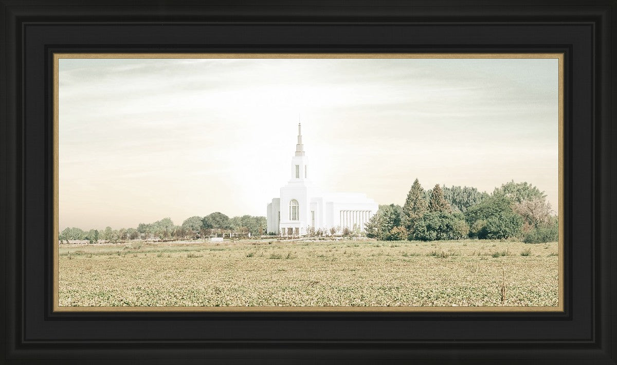 Burley Idaho Immaculate Embrace Pastel