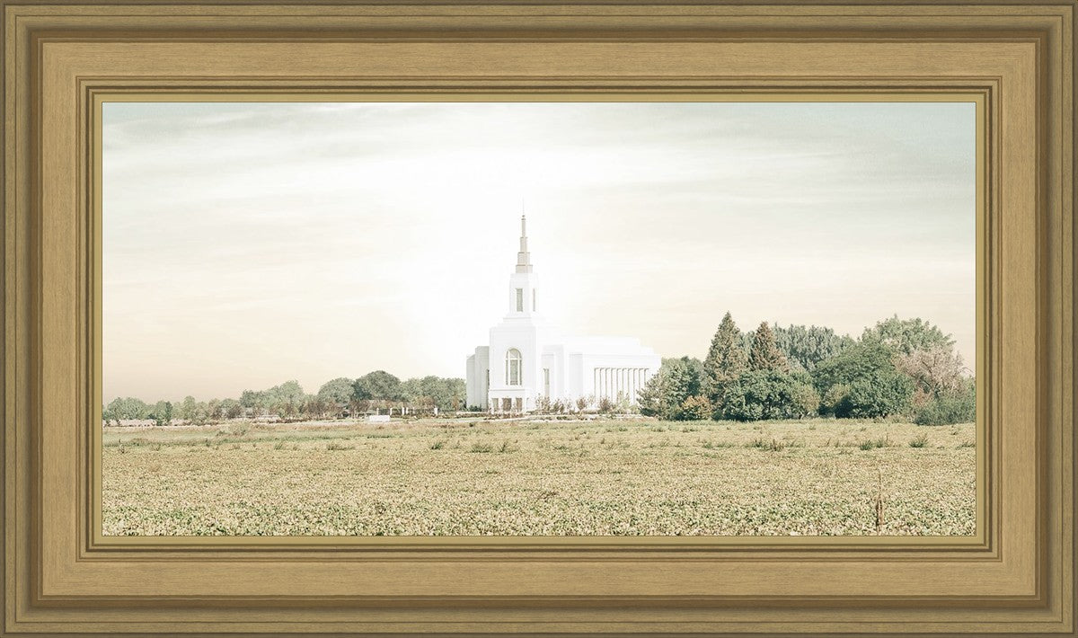Burley Idaho Immaculate Embrace Pastel