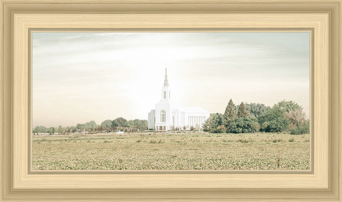 Burley Idaho Immaculate Embrace Pastel