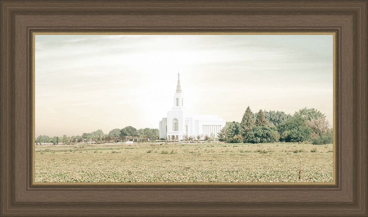 Burley Idaho Immaculate Embrace Pastel
