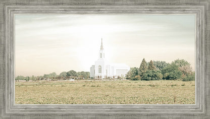 Burley Idaho Immaculate Embrace Pastel