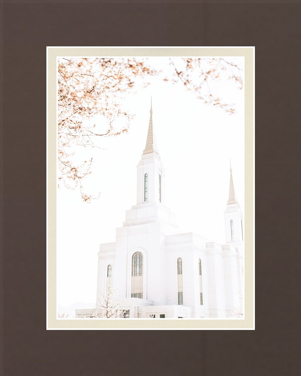 Lindon Utah Celestial View