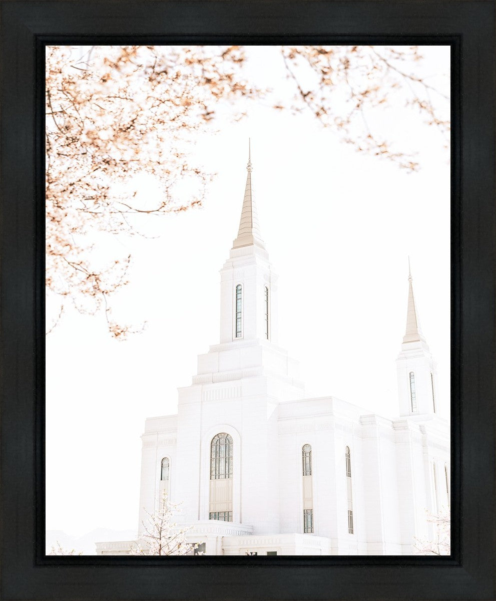 Lindon Utah Celestial View