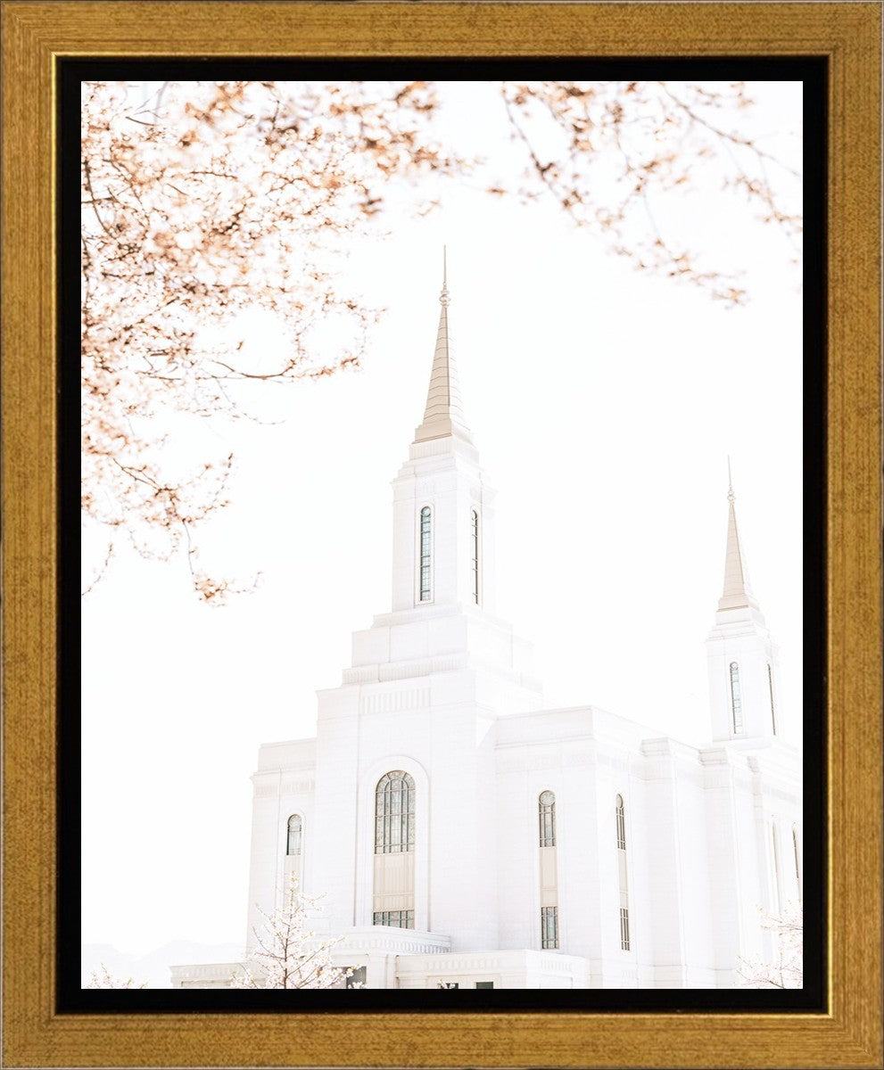 Lindon Utah Celestial View