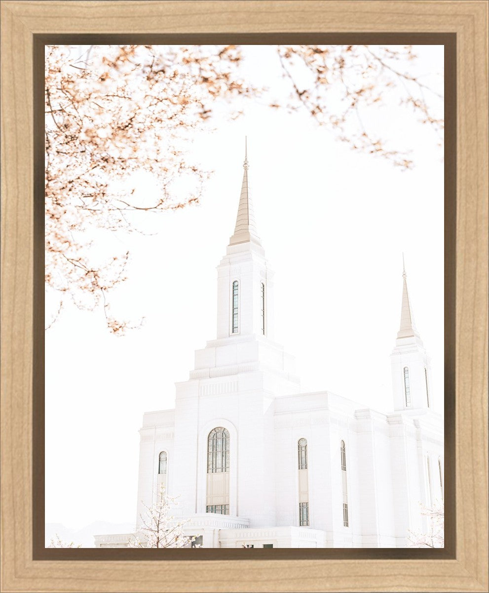 Lindon Utah Celestial View