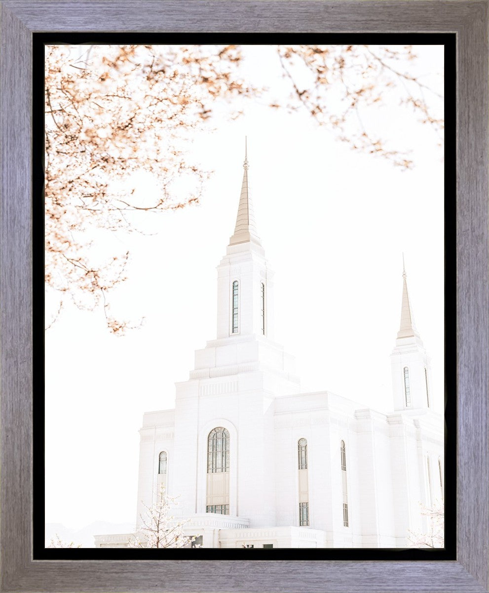 Lindon Utah Celestial View