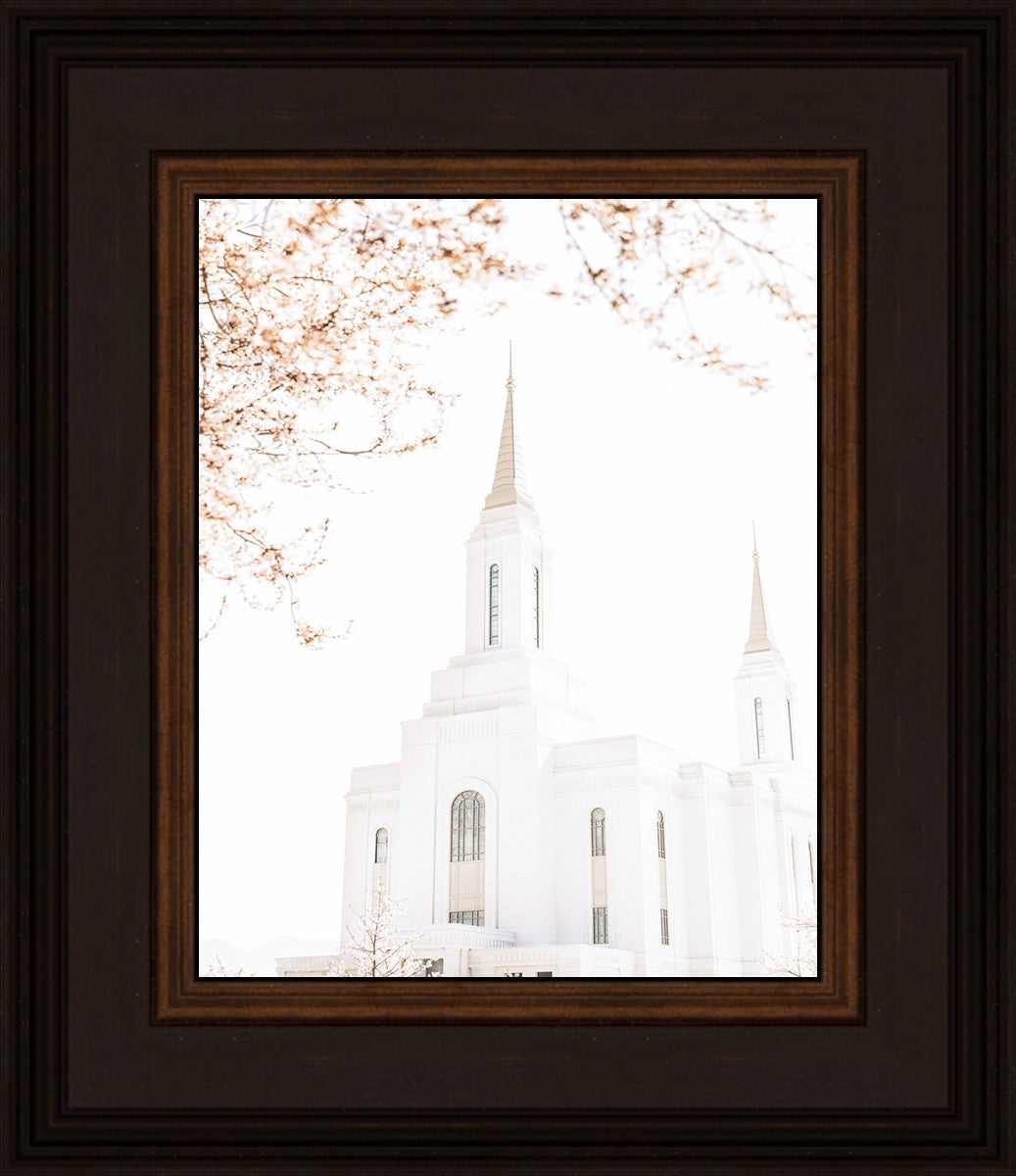Lindon Utah Celestial View