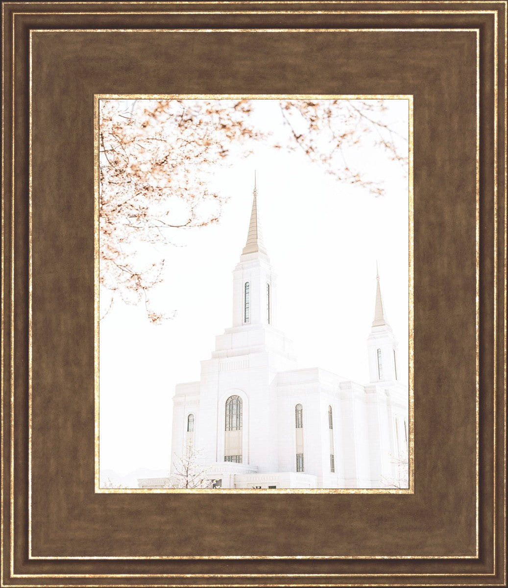 Lindon Utah Celestial View