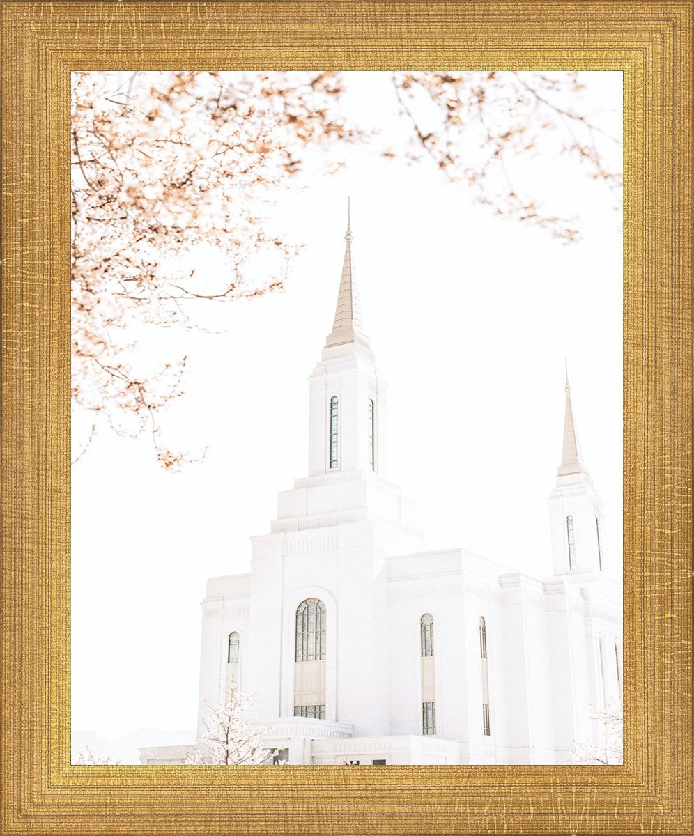 Lindon Utah Celestial View