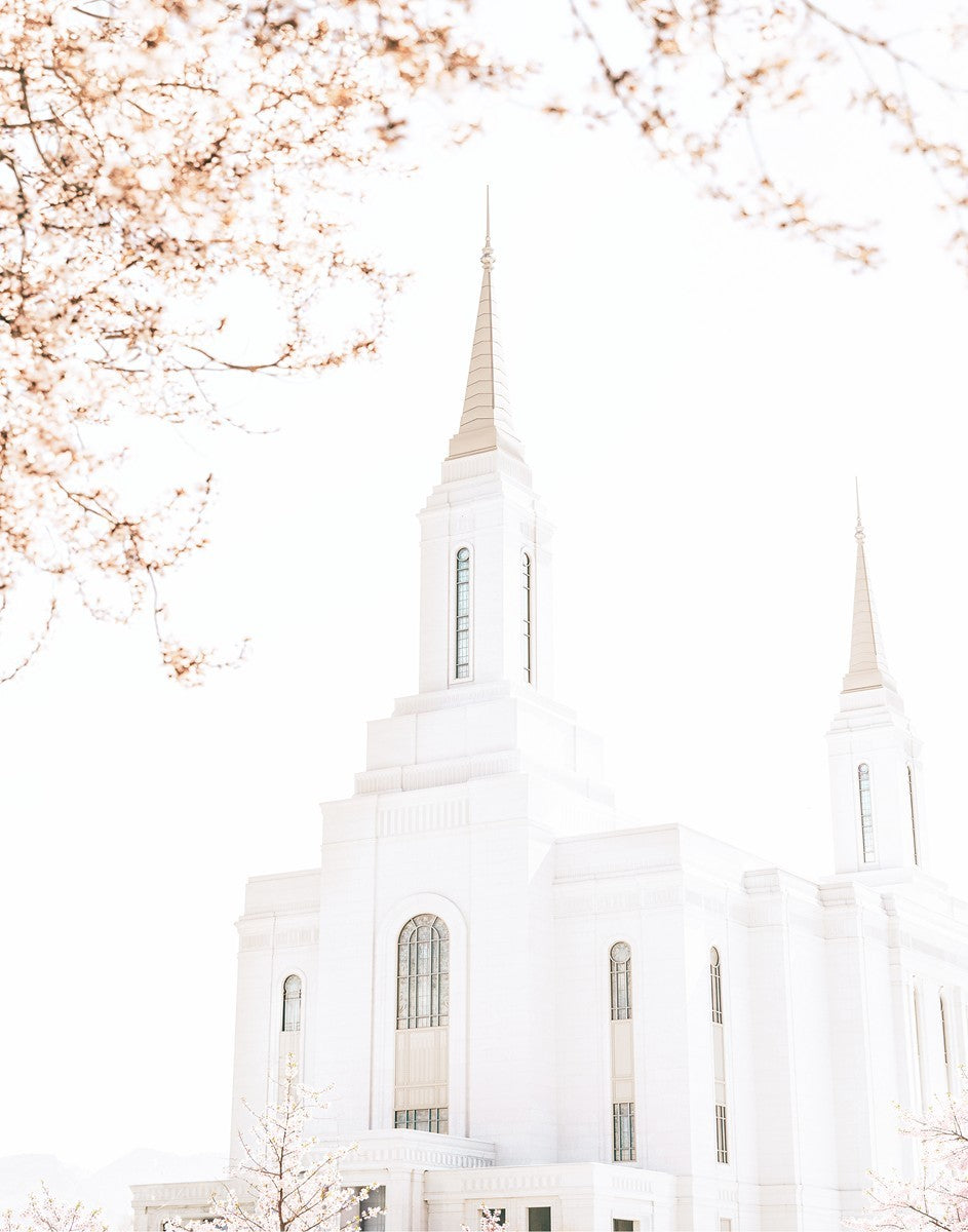 Lindon Utah Celestial View