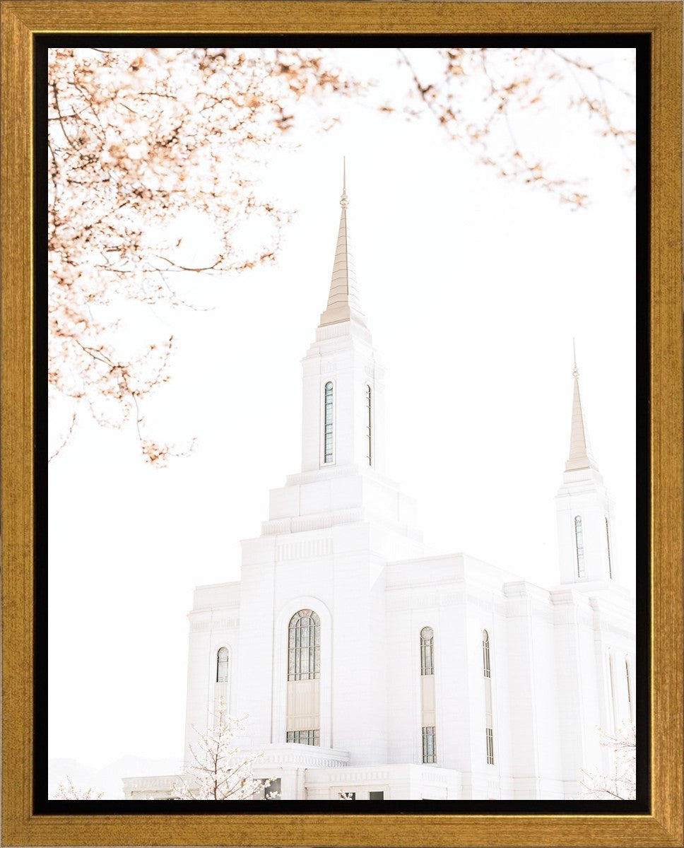 Lindon Utah Celestial View