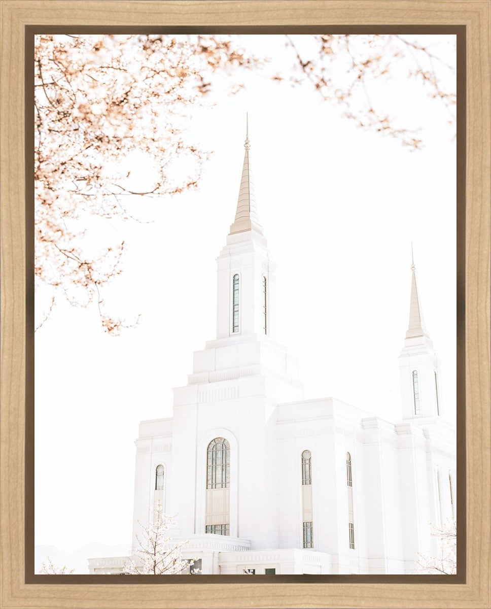 Lindon Utah Celestial View
