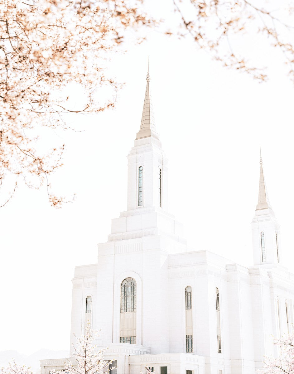 Lindon Utah Celestial View