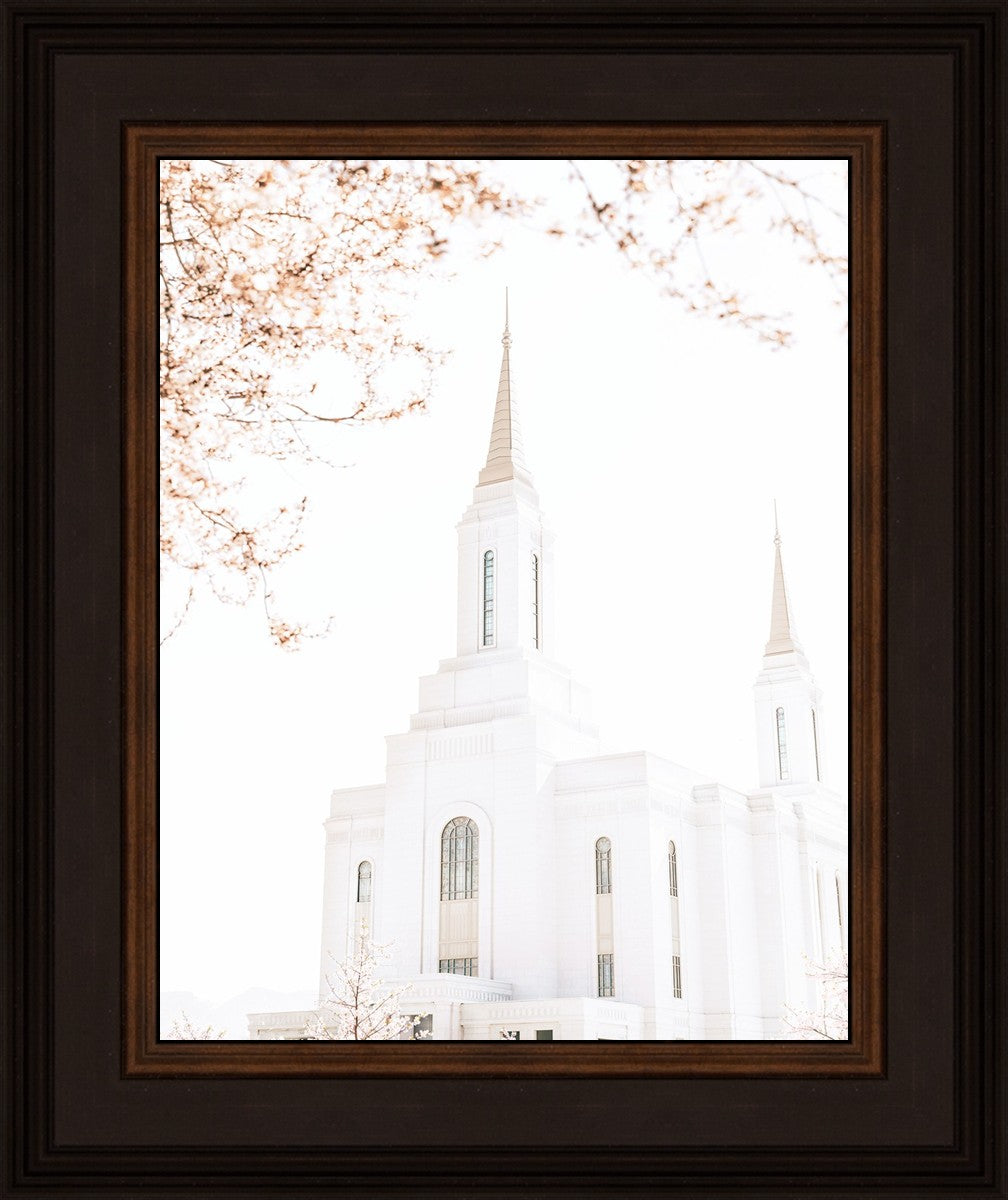 Lindon Utah Celestial View