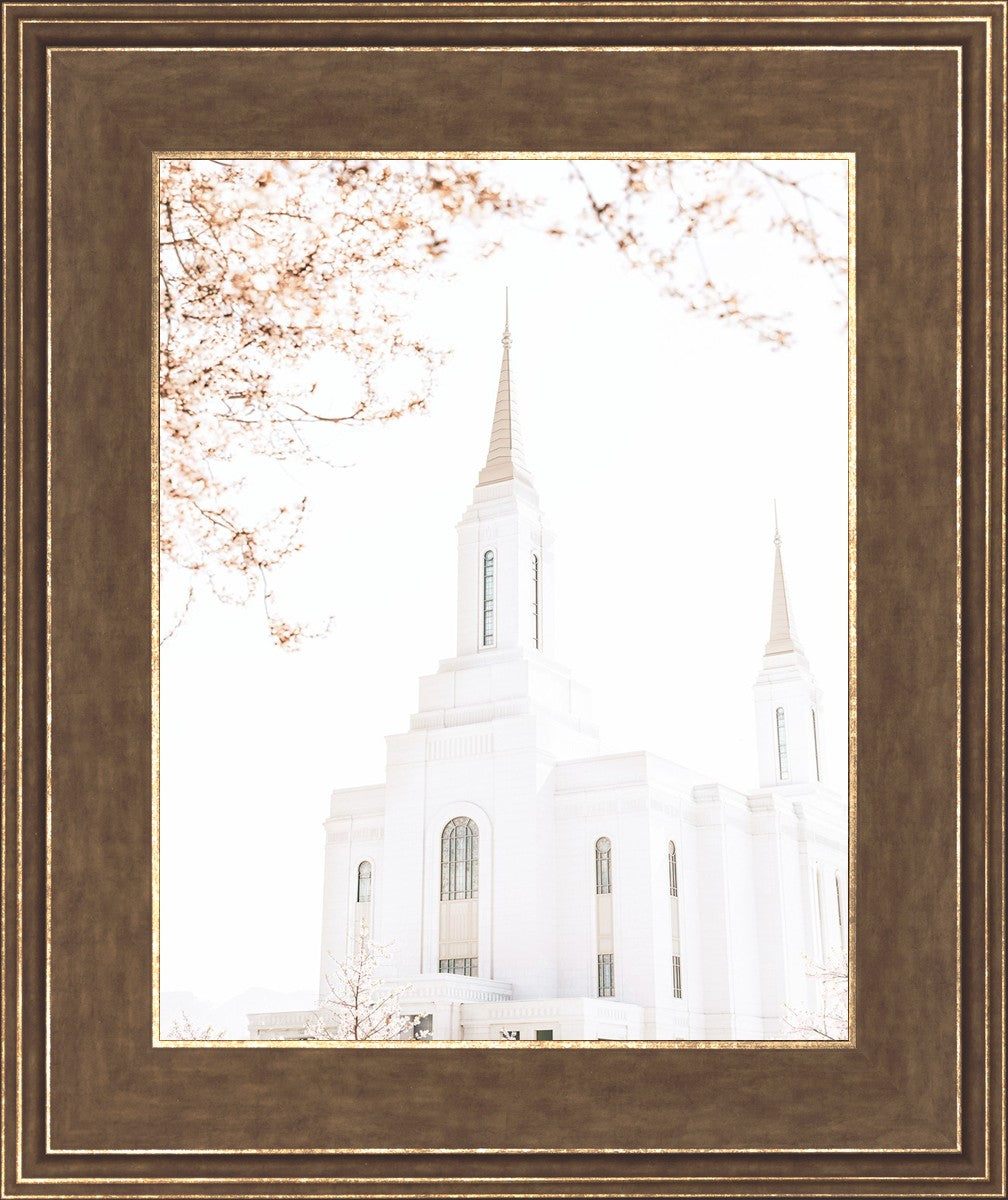 Lindon Utah Celestial View