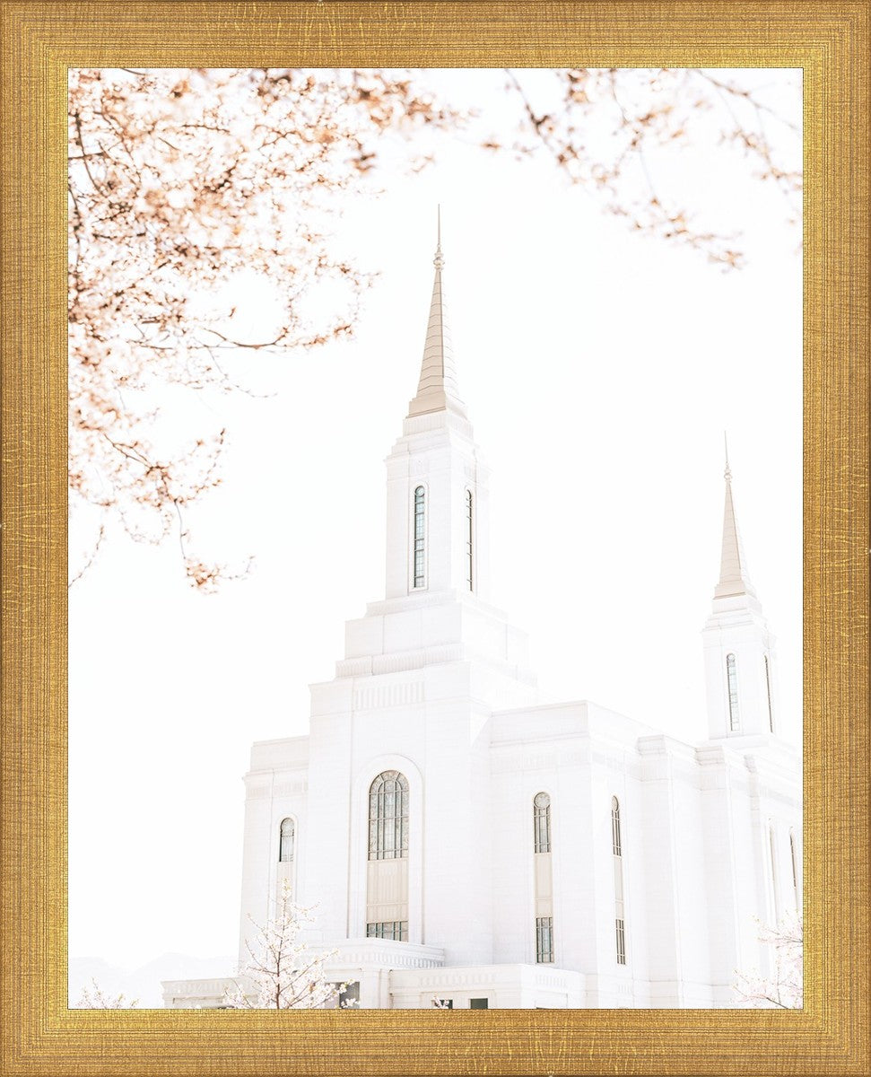 Lindon Utah Celestial View