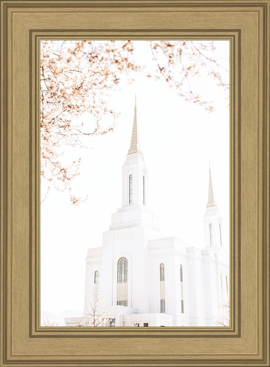 Lindon Utah Celestial View
