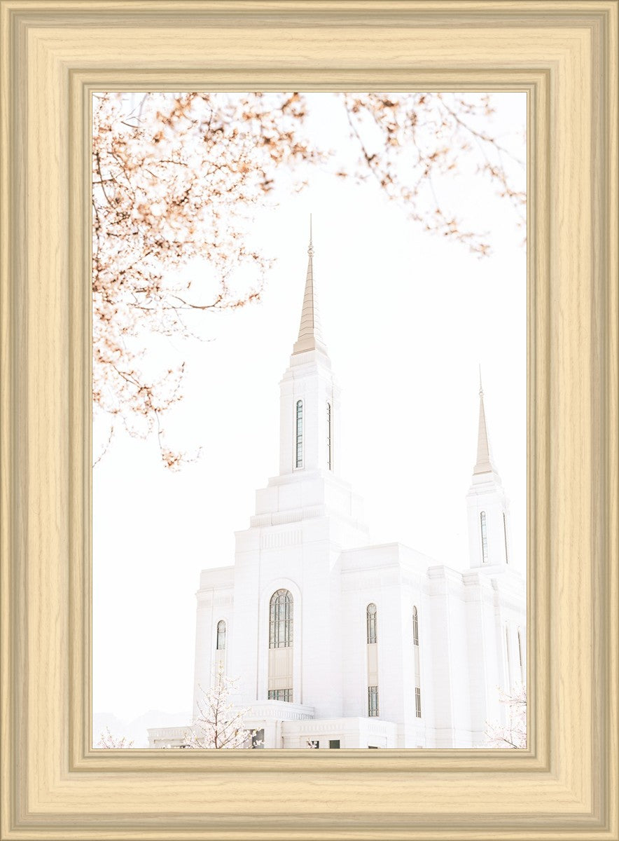 Lindon Utah Celestial View