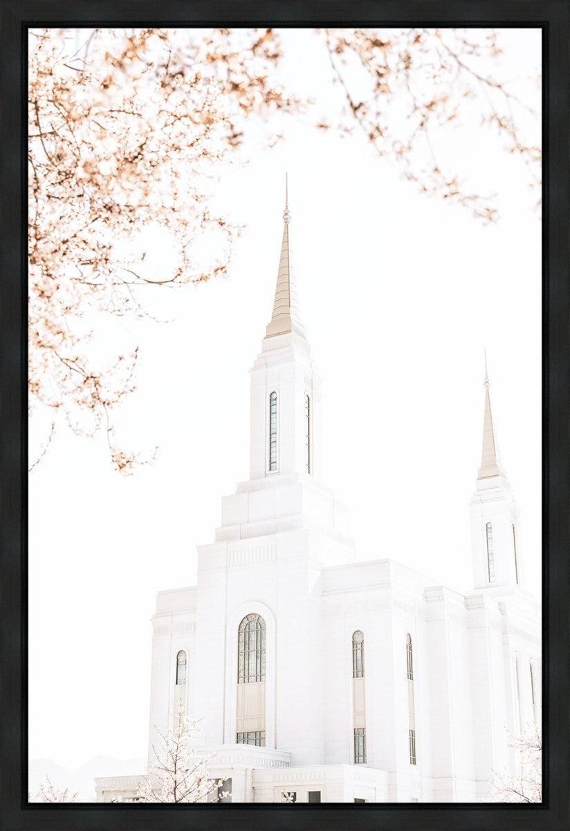 Lindon Utah Celestial View