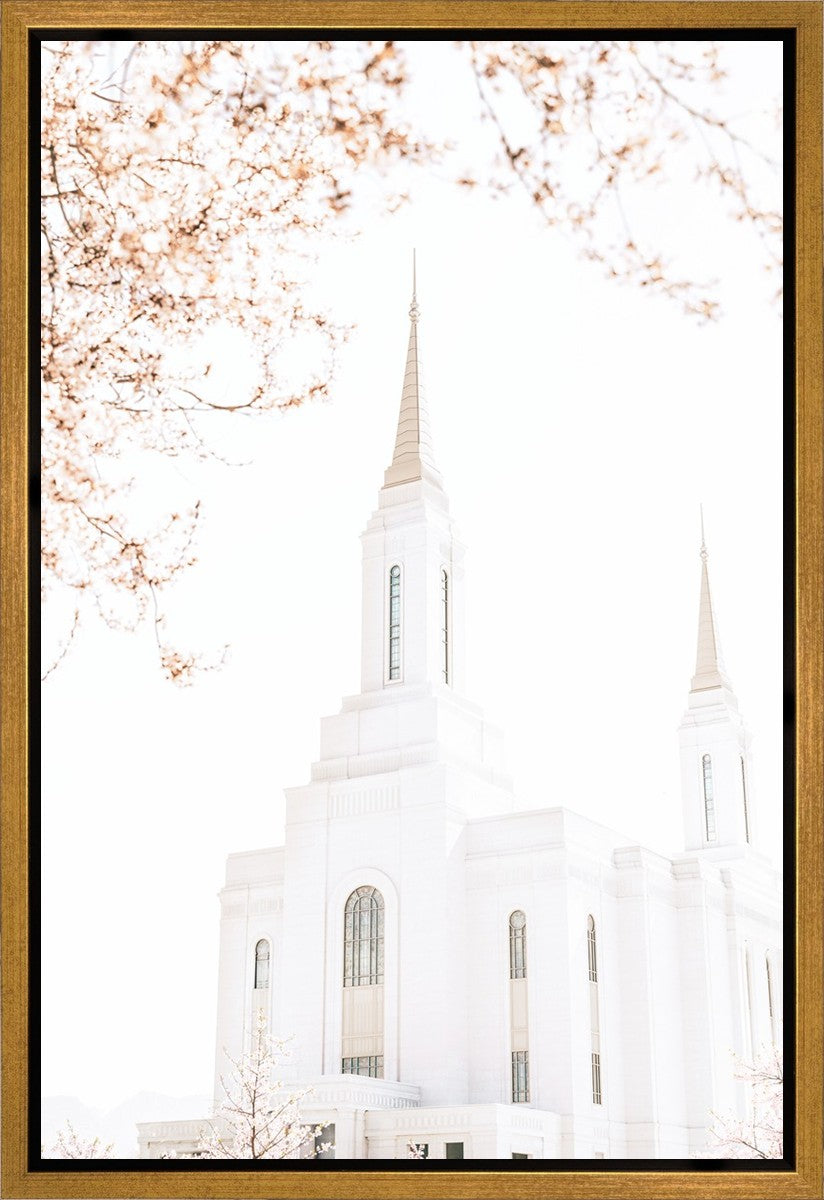 Lindon Utah Celestial View