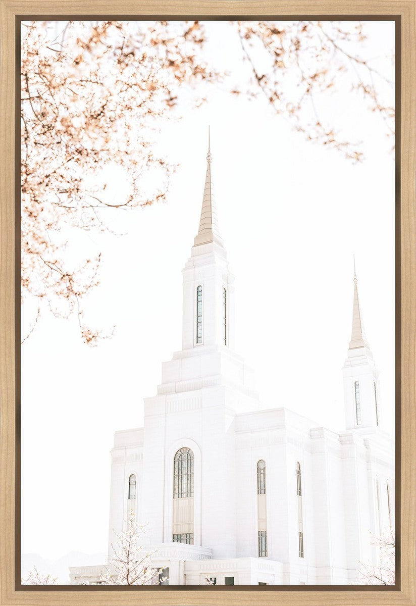 Lindon Utah Celestial View