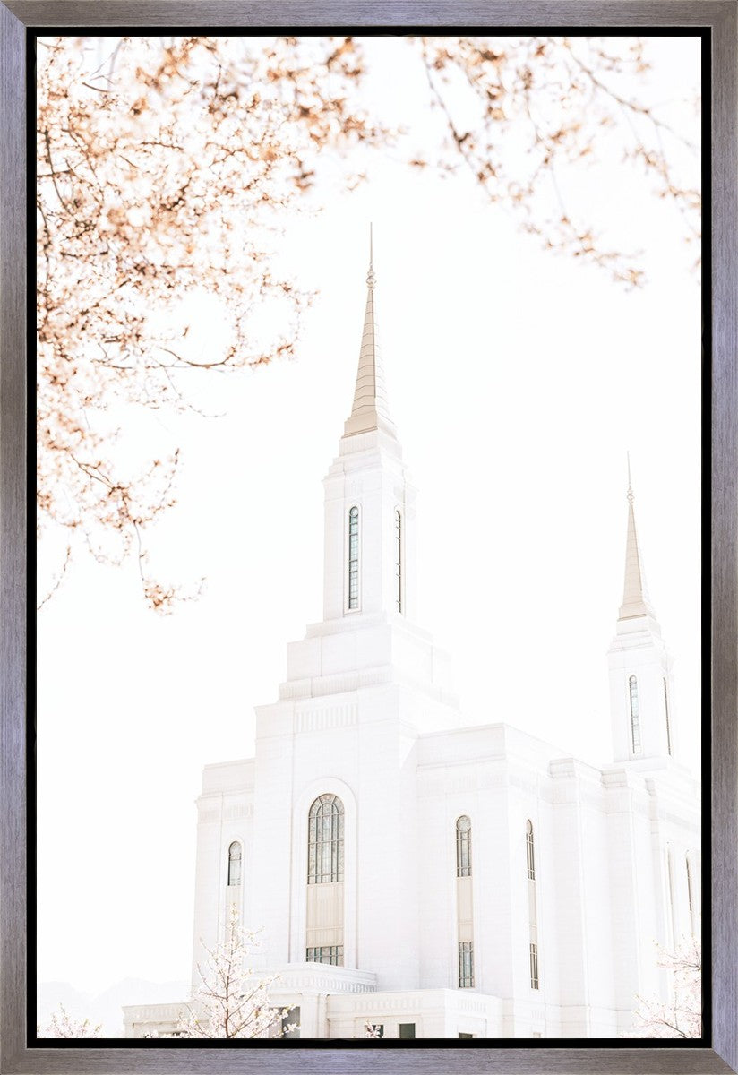 Lindon Utah Celestial View