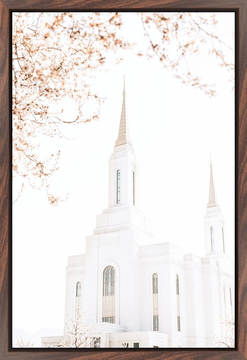 Lindon Utah Celestial View
