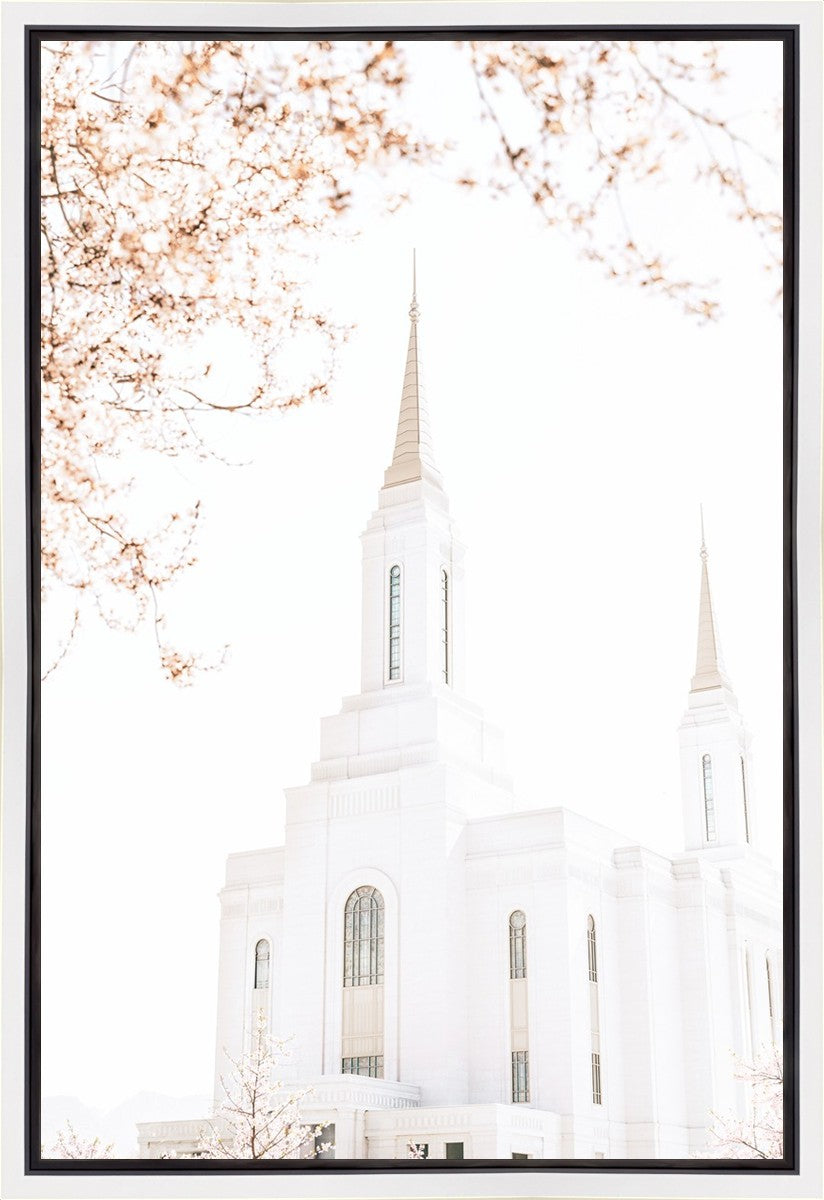 Lindon Utah Celestial View