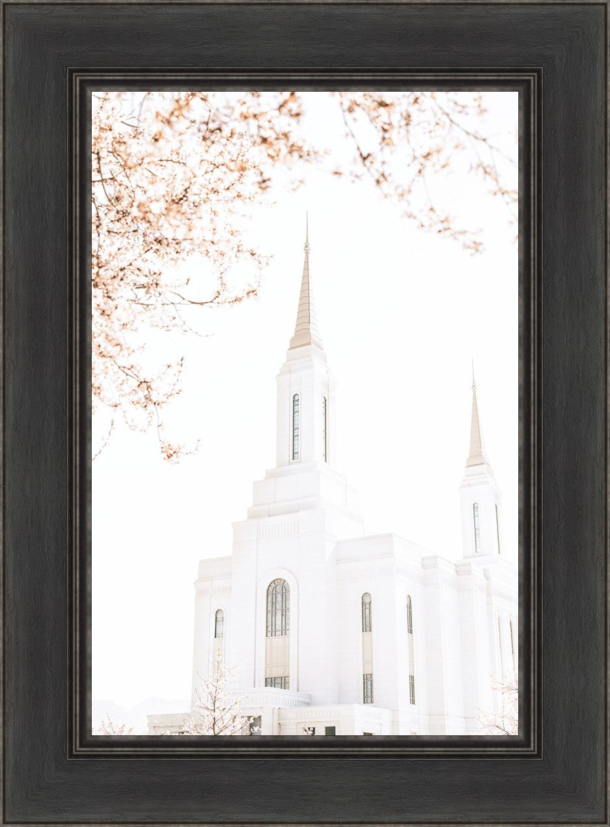 Lindon Utah Celestial View