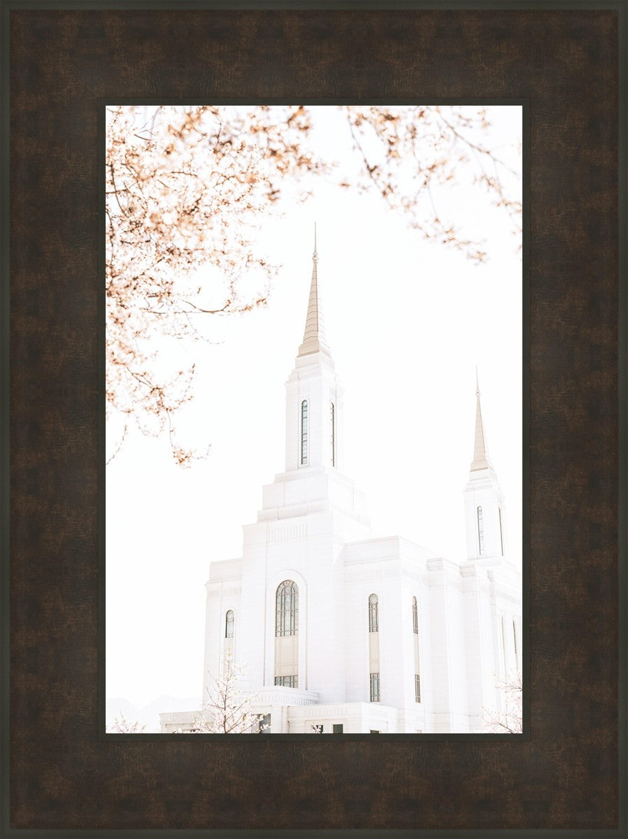 Lindon Utah Celestial View