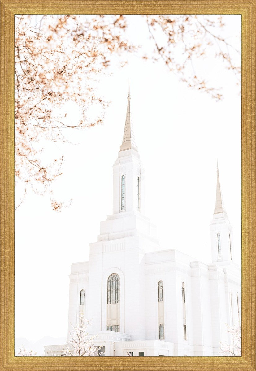 Lindon Utah Celestial View