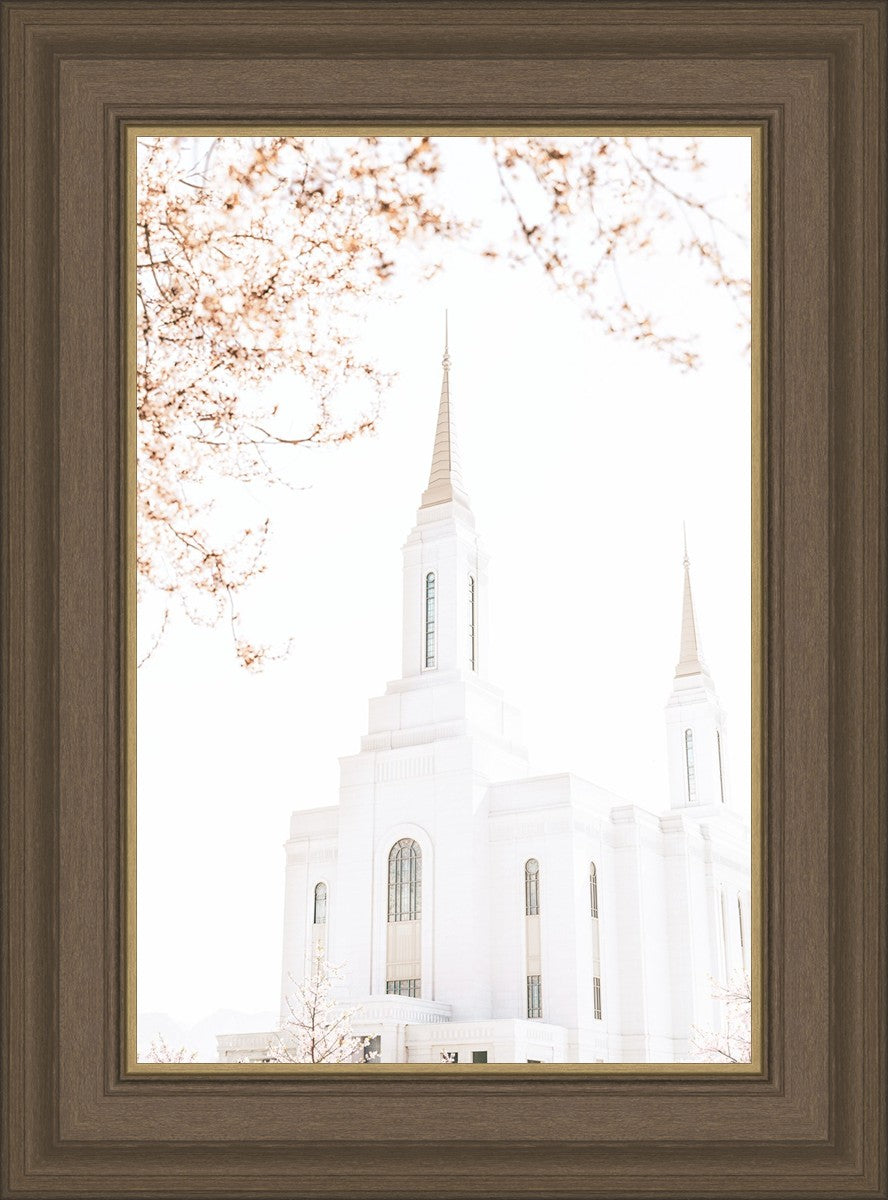 Lindon Utah Celestial View