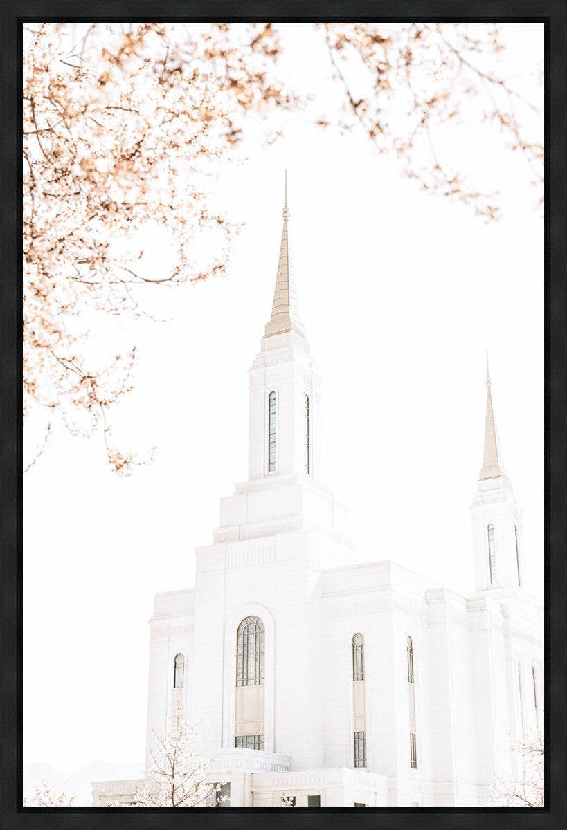 Lindon Utah Celestial View
