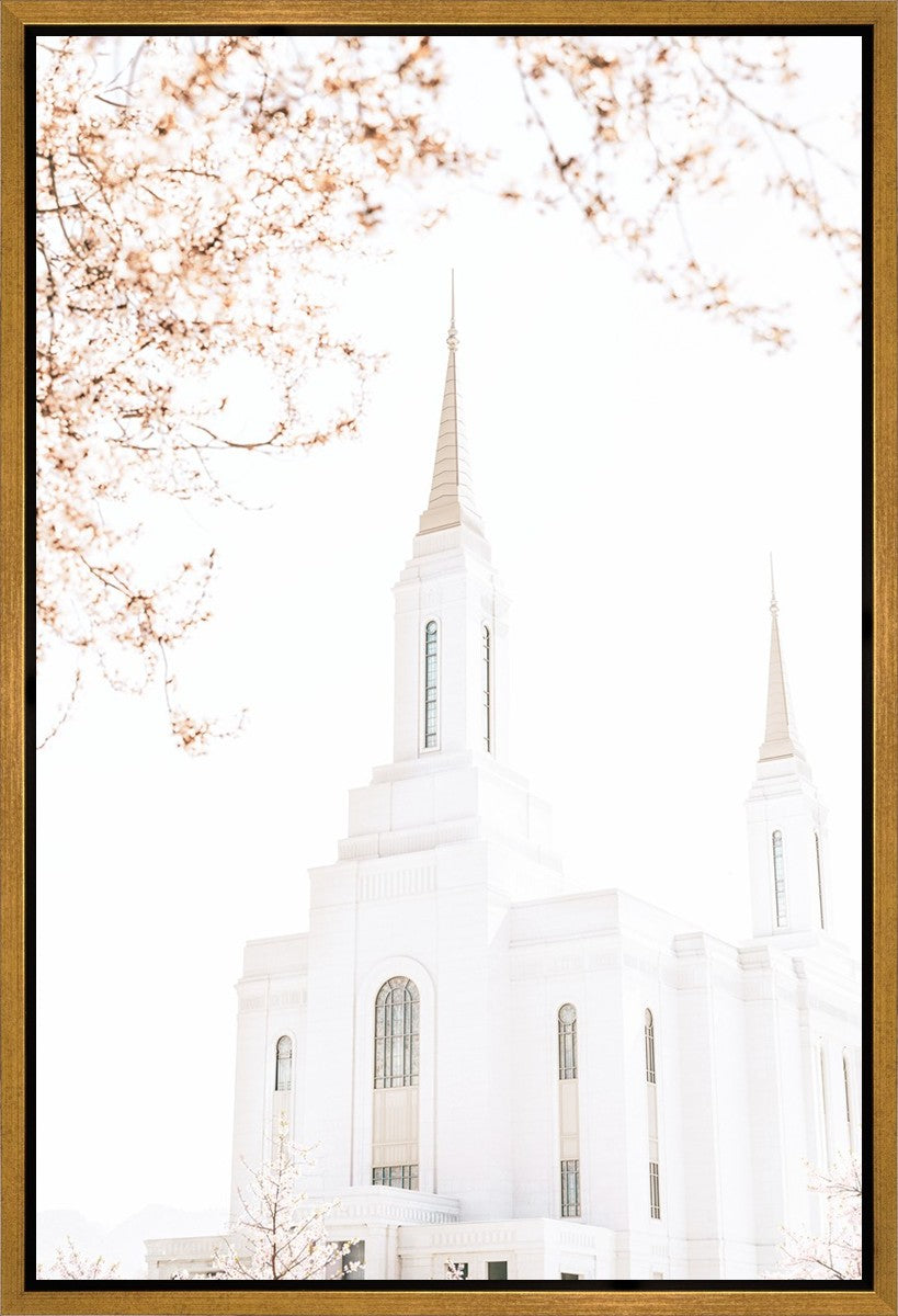 Lindon Utah Celestial View