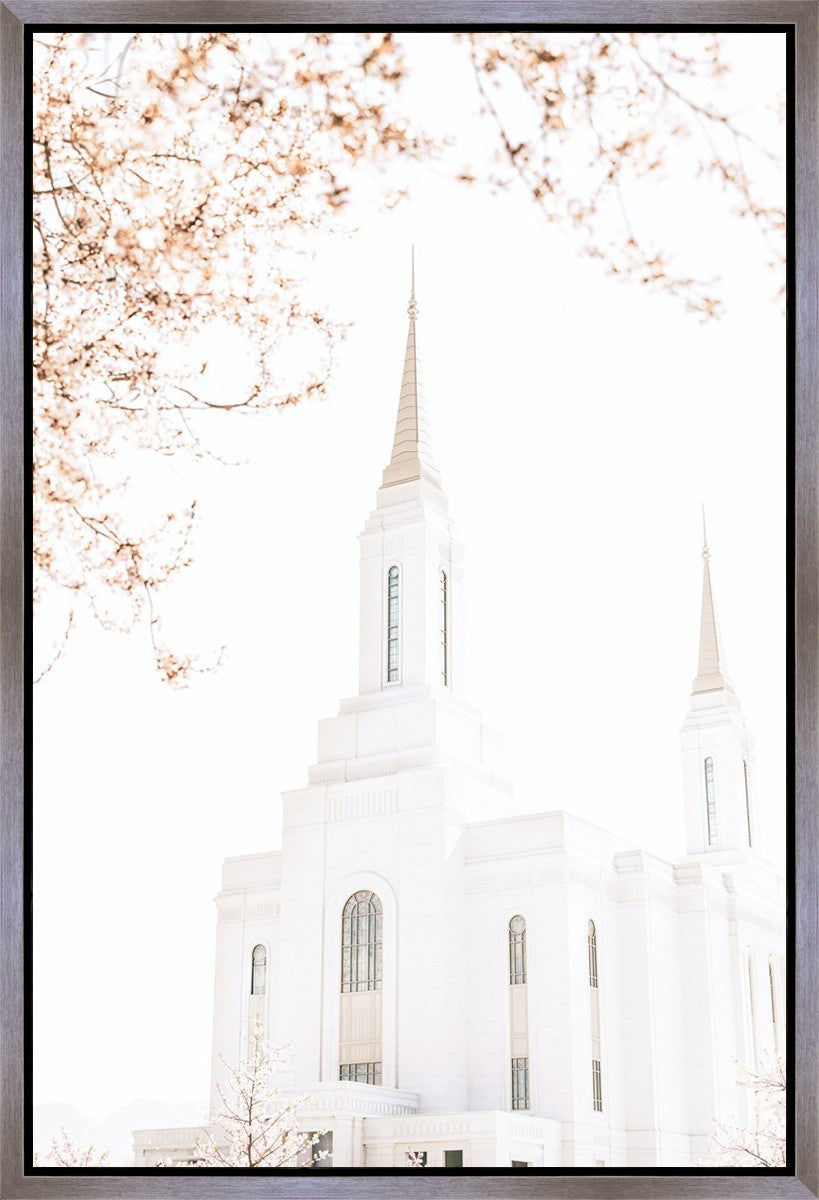 Lindon Utah Celestial View